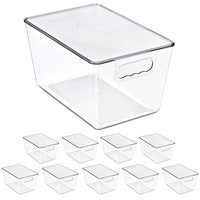Large Clear Storage Bins with Lids and Handles