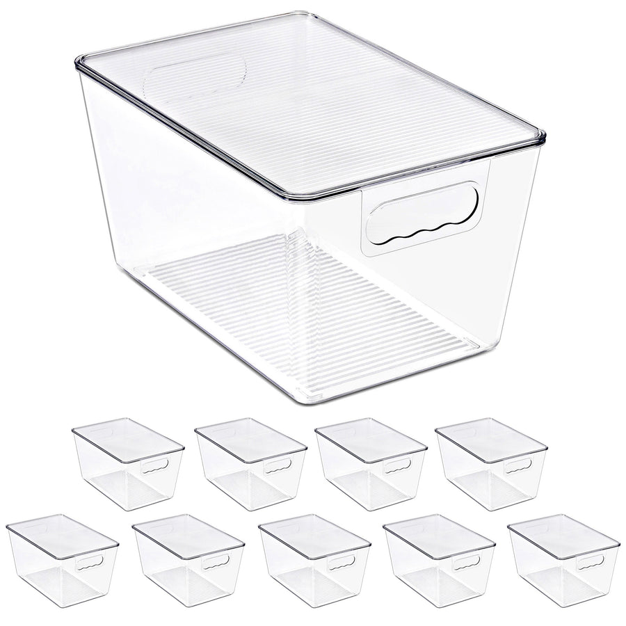 Large Clear Storage Bins with Lids and Handles