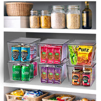 Large Clear Storage Bins with Lids and Handles