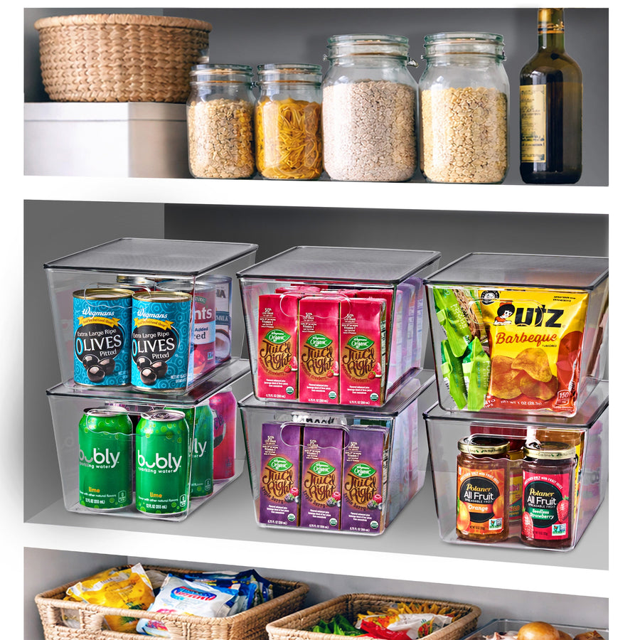 Large Clear Storage Bins with Lids and Handles