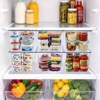 Large Clear Storage Bins with Lids and Handles