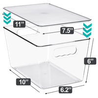 Large Clear Storage Bins with Lids and Handles