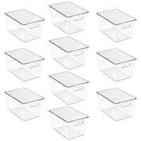 Large Clear Storage Bins with Lids and Handles