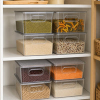 Large clear storage bins with lids and handles